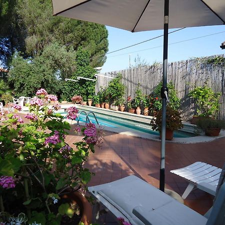 B&B Cottage Dei Consoli Sant'Agata Li Battiati Eksteriør billede